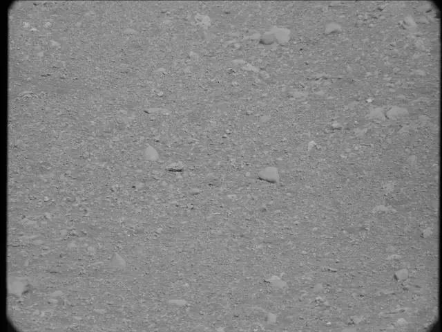 Sol 20: Mast Camera (Mastcam)