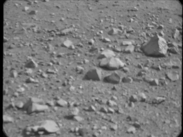 Sol 20: Mast Camera (Mastcam)