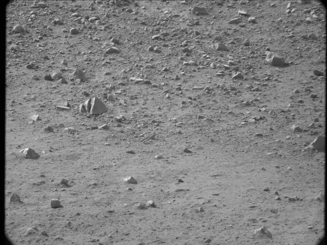 Sol 20: Mast Camera (Mastcam)