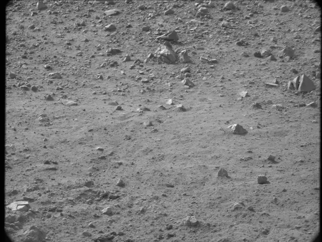 Sol 20: Mast Camera (Mastcam)