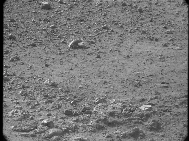 Sol 20: Mast Camera (Mastcam)