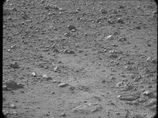 Sol 20: Mast Camera (Mastcam)