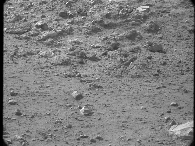 Sol 20: Mast Camera (Mastcam)