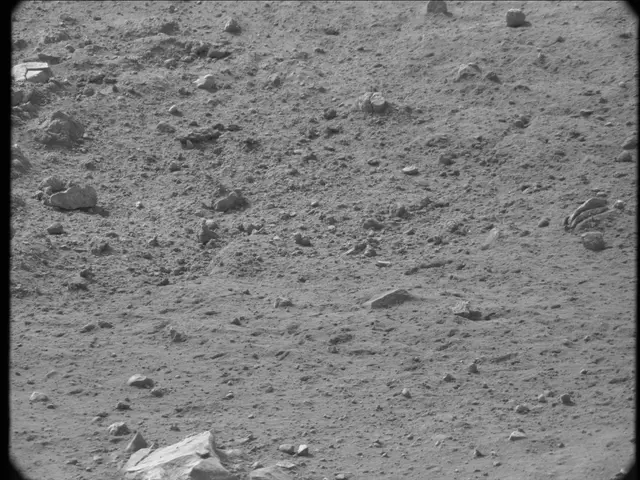 Sol 20: Mast Camera (Mastcam)