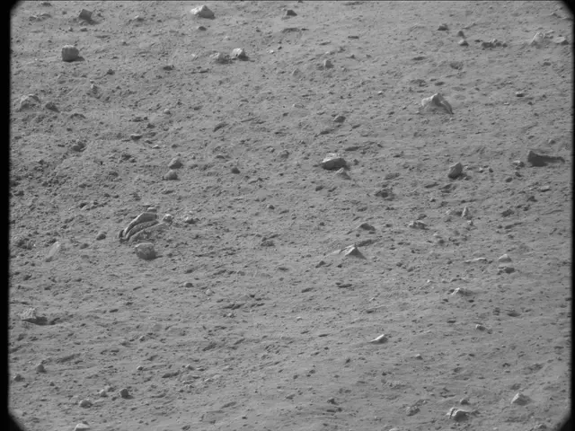 Sol 20: Mast Camera (Mastcam)