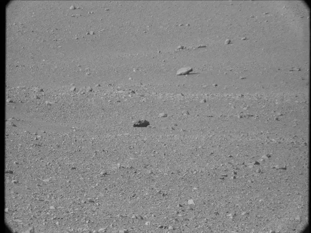 Sol 20: Mast Camera (Mastcam)