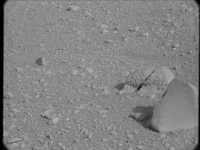 Sol 20: Mast Camera (Mastcam)