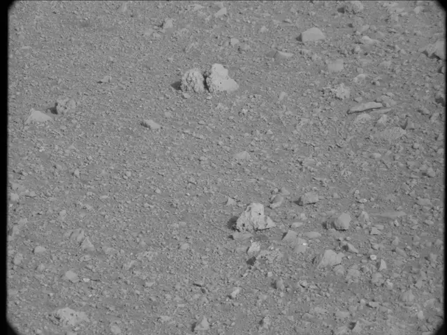 Sol 20: Mast Camera (Mastcam)