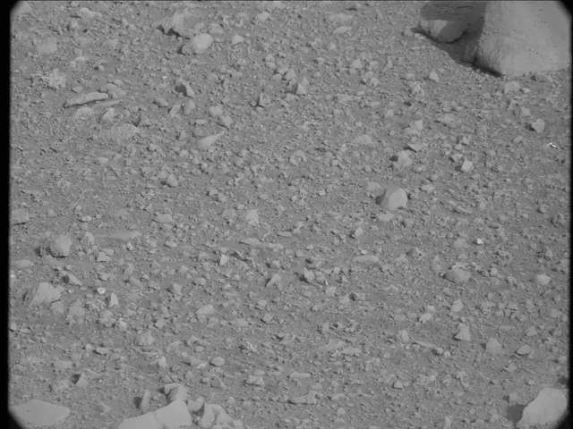 Sol 20: Mast Camera (Mastcam)