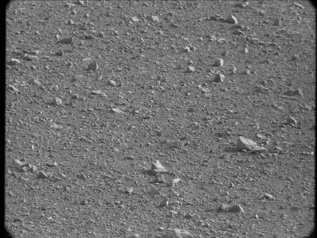 Sol 20: Mast Camera (Mastcam)
