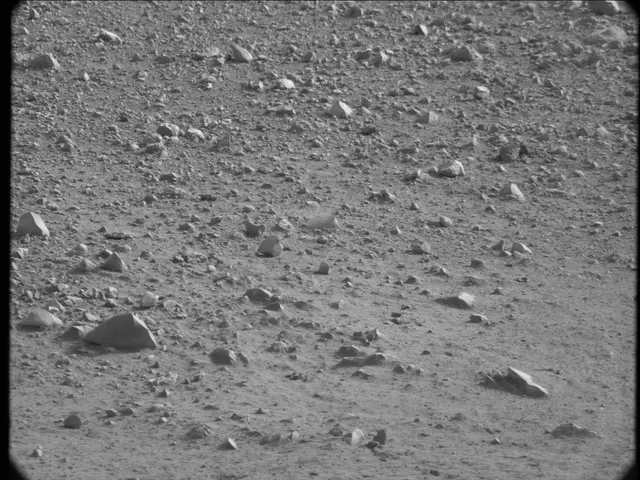 Sol 20: Mast Camera (Mastcam)