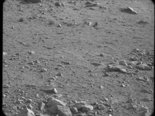 Sol 20: Mast Camera (Mastcam)
