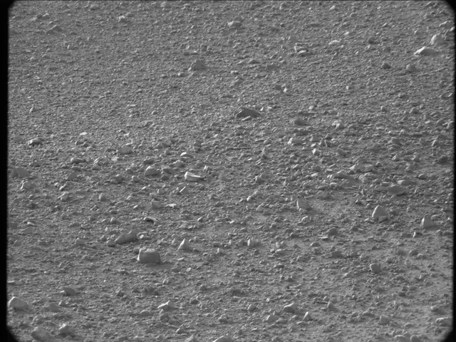Sol 20: Mast Camera (Mastcam)