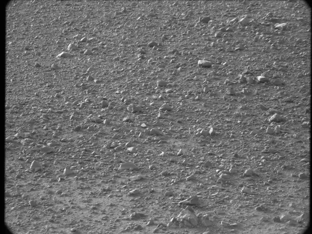 Sol 20: Mast Camera (Mastcam)