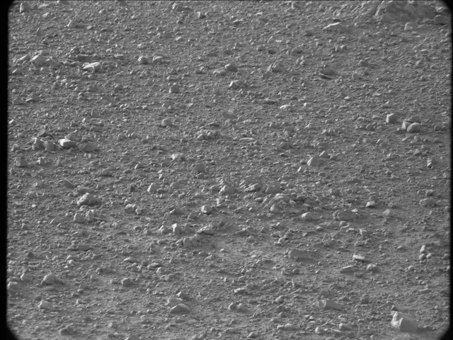 Sol 20: Mast Camera (Mastcam)