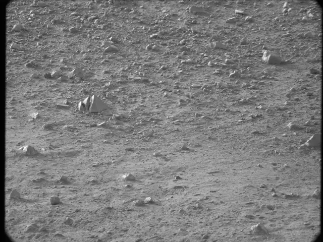 Sol 20: Mast Camera (Mastcam)