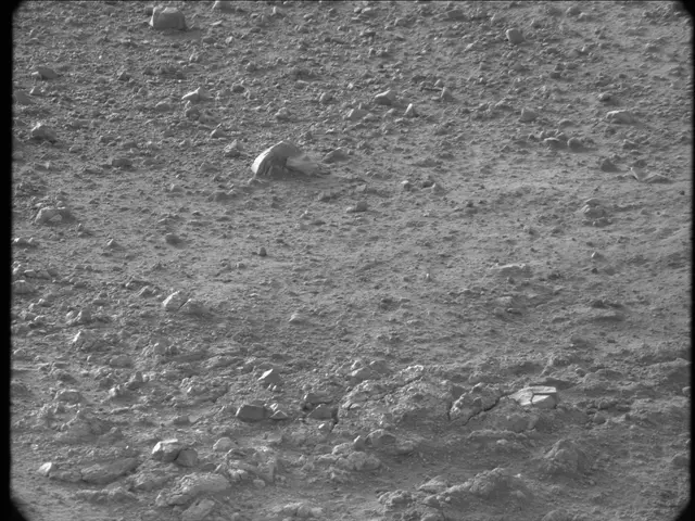 Sol 20: Mast Camera (Mastcam)