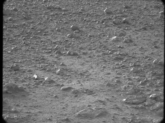 Sol 20: Mast Camera (Mastcam)