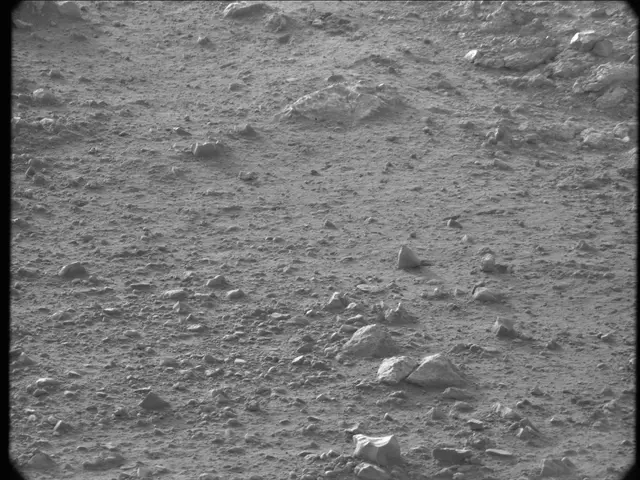 Sol 20: Mast Camera (Mastcam)