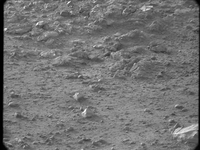 Sol 20: Mast Camera (Mastcam)