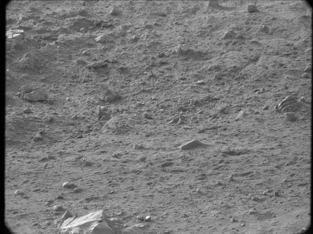 Sol 20: Mast Camera (Mastcam)