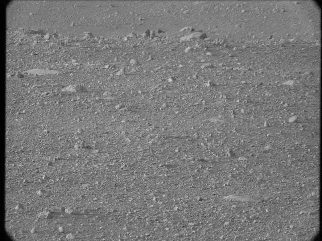 Sol 20: Mast Camera (Mastcam)