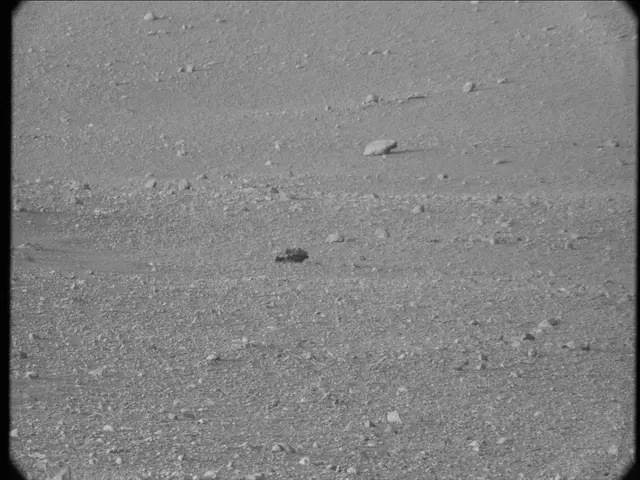 Sol 20: Mast Camera (Mastcam)
