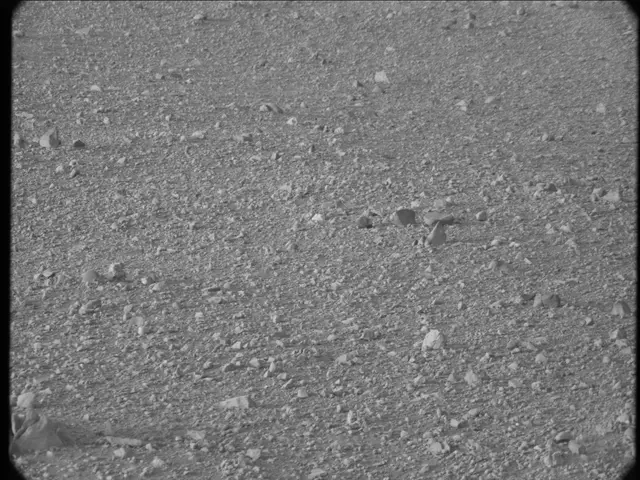 Sol 20: Mast Camera (Mastcam)