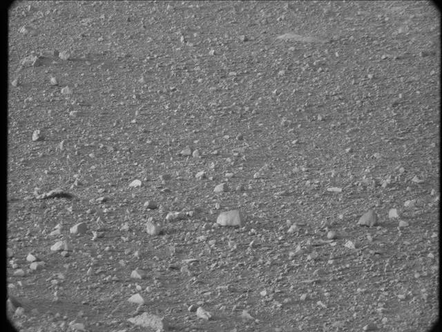 Sol 20: Mast Camera (Mastcam)