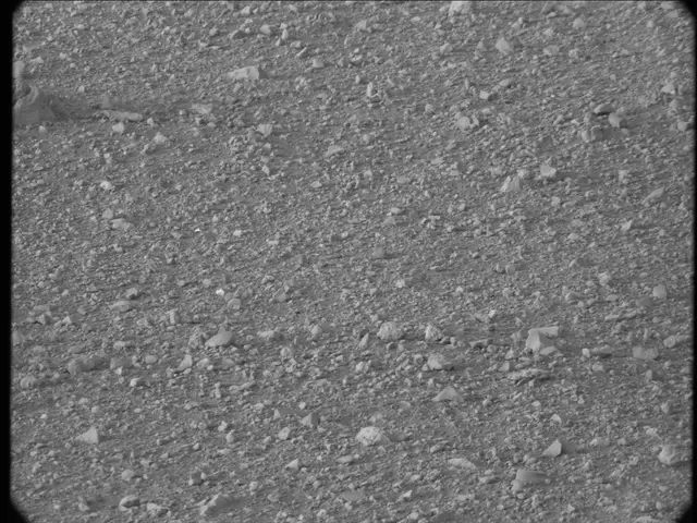 Sol 20: Mast Camera (Mastcam)