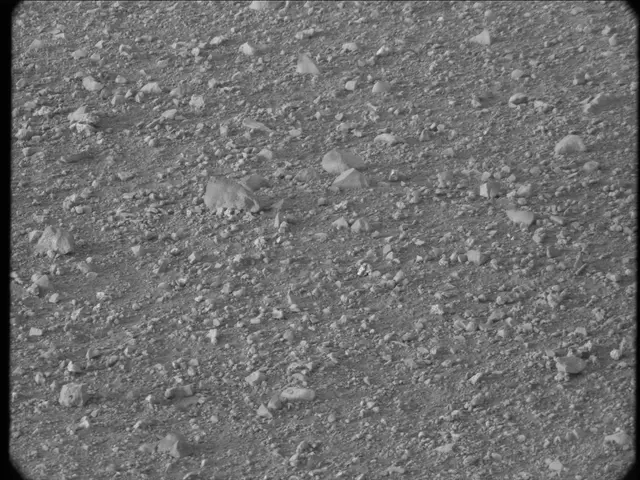 Sol 20: Mast Camera (Mastcam)