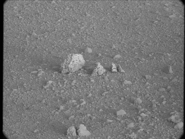 Sol 20: Mast Camera (Mastcam)