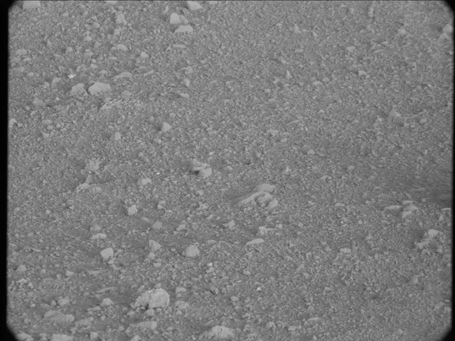Sol 20: Mast Camera (Mastcam)