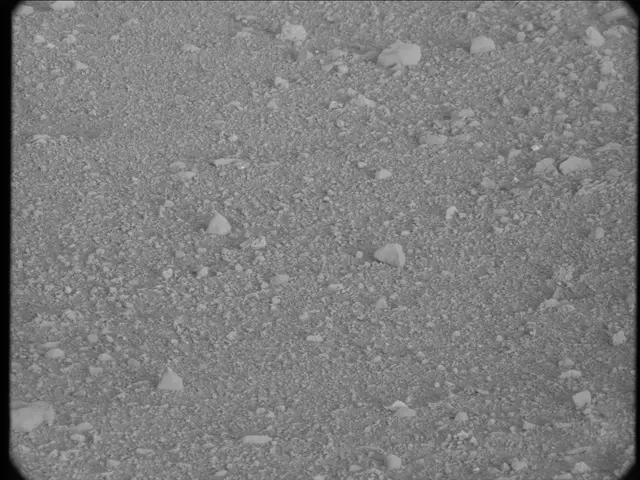 Sol 20: Mast Camera (Mastcam)