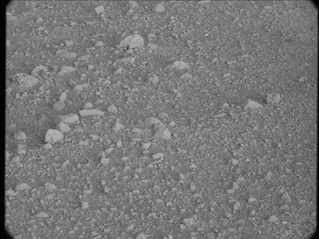 Sol 20: Mast Camera (Mastcam)