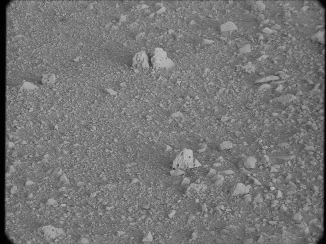 Sol 20: Mast Camera (Mastcam)