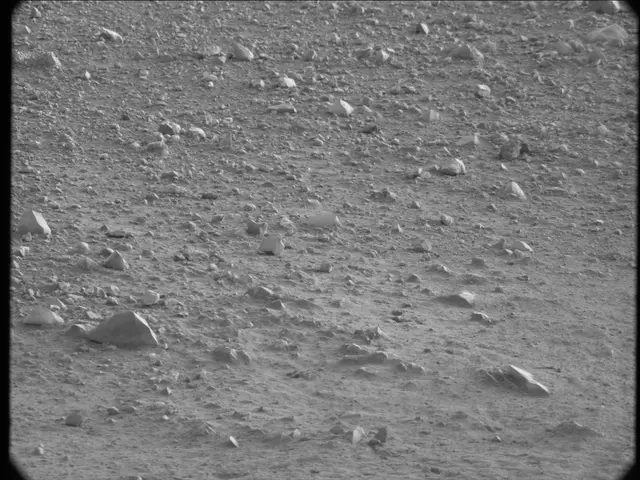 Sol 20: Mast Camera (Mastcam)