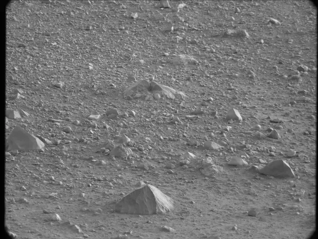 Sol 20: Mast Camera (Mastcam)
