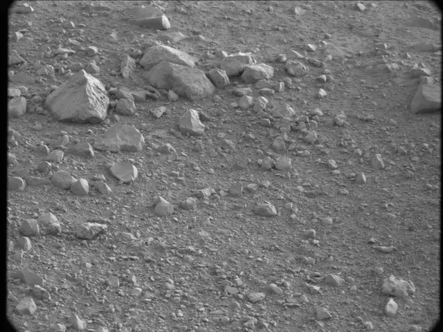 Sol 20: Mast Camera (Mastcam)
