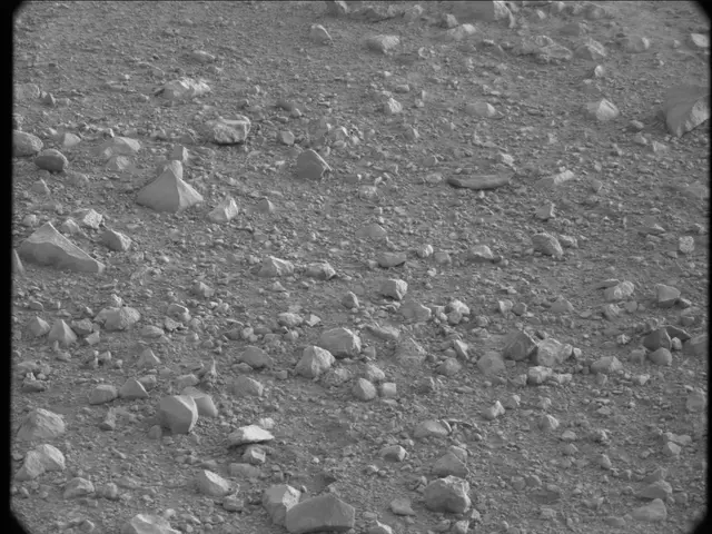 Sol 20: Mast Camera (Mastcam)