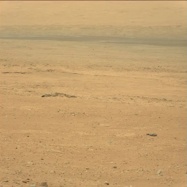 Sol 21: Mast Camera (Mastcam)