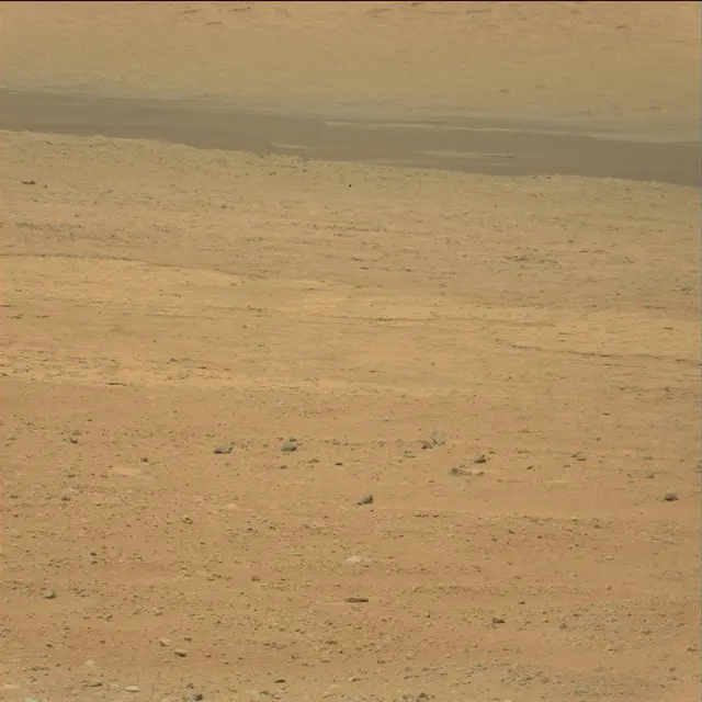 Sol 21: Mast Camera (Mastcam)