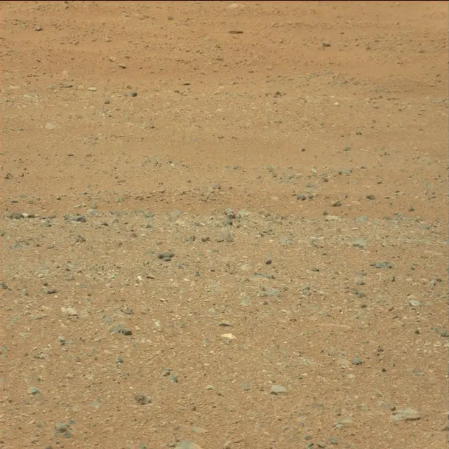 Sol 21: Mast Camera (Mastcam)