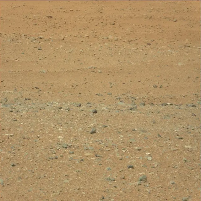 Sol 21: Mast Camera (Mastcam)