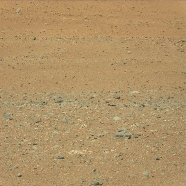 Sol 21: Mast Camera (Mastcam)