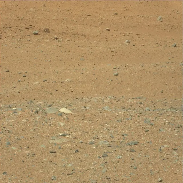 Sol 21: Mast Camera (Mastcam)