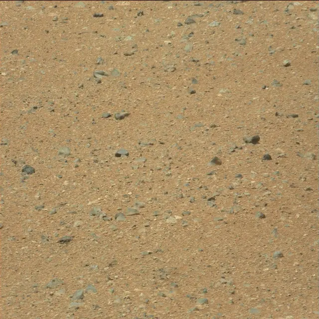 Sol 21: Mast Camera (Mastcam)