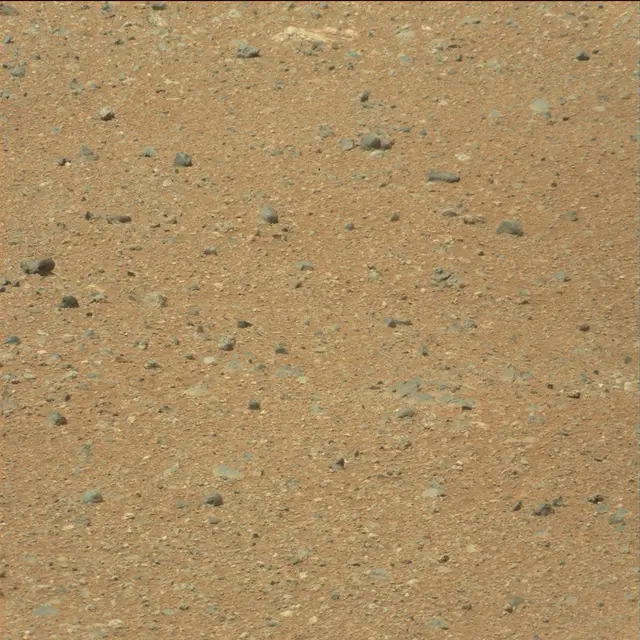 Sol 21: Mast Camera (Mastcam)