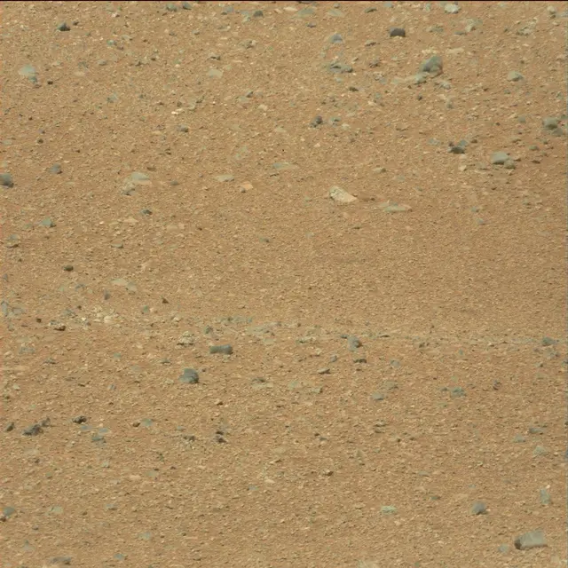 Sol 21: Mast Camera (Mastcam)