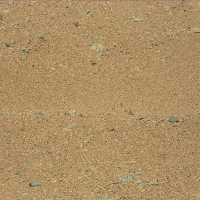 Sol 21: Mast Camera (Mastcam)